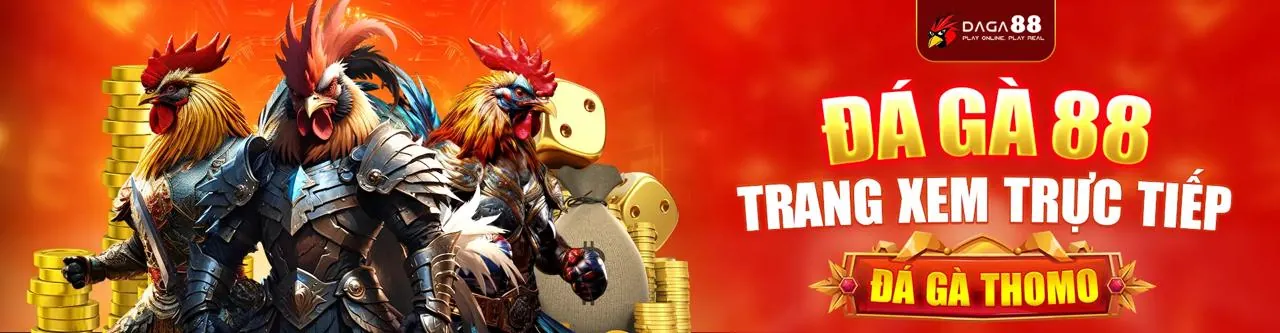 Sân Đá Gà Trực Tuyến 888togame Hấp Dẫn